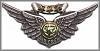 Combat AirCrew Wings