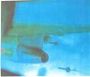 P2 Aircraft Thumbnail