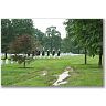 VO-67 Shipmate Memorial Thumbnail