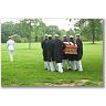 VO-67 Shipmate Memorial Thumbnail